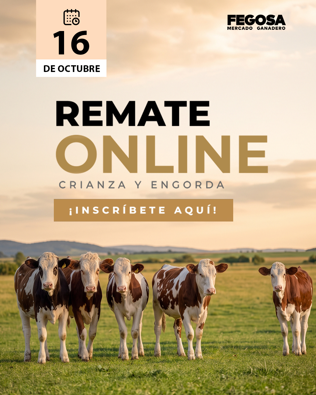 Remate online Fegosa, crianza y engorda, 16 de octubre. ¡Inscríbete aquí!