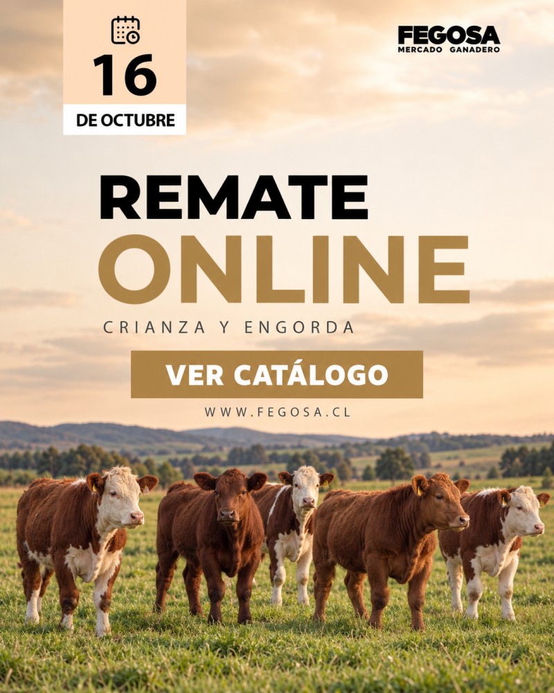 Remate online Fegosa, crianza y engorda, 16 de octubre. ¡Inscríbete aquí!